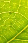 IMG_20200716_184424