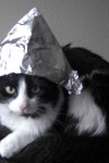 IONCatFoil.jpg