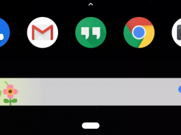 Google Doodle is showing up on the search bar for some users Google Doodle
