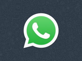 WhatsApp is now testing its new fact-checking feature for forwarded messages WhatsApp Messenger