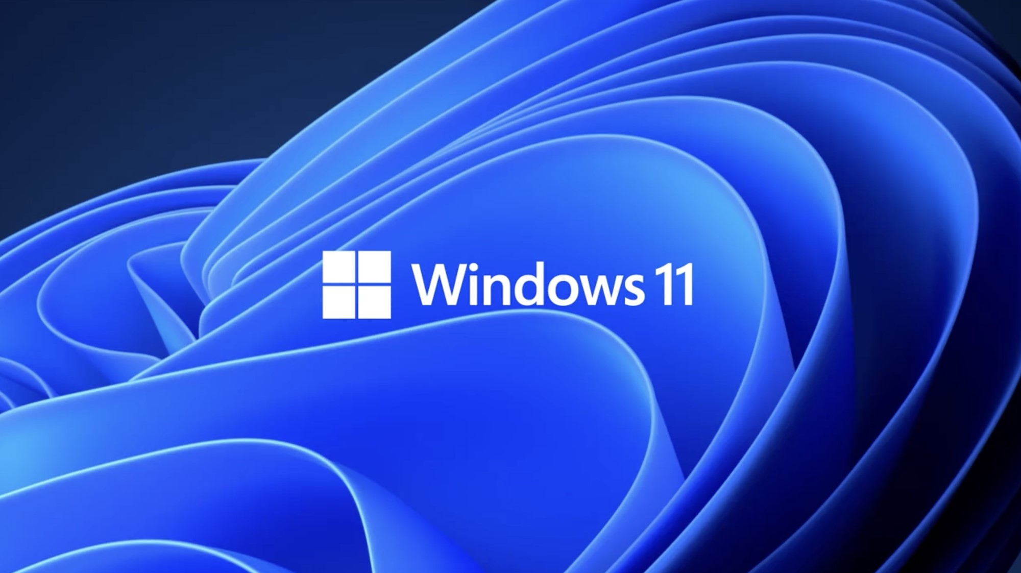 windows 11 download windows insider
