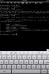 iPad3 jailbreak2