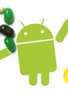 jelly bean