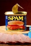 twitter-spam
