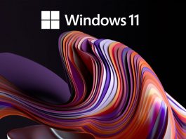 Windows 11 gets a new Insider Preview Update Windows 11